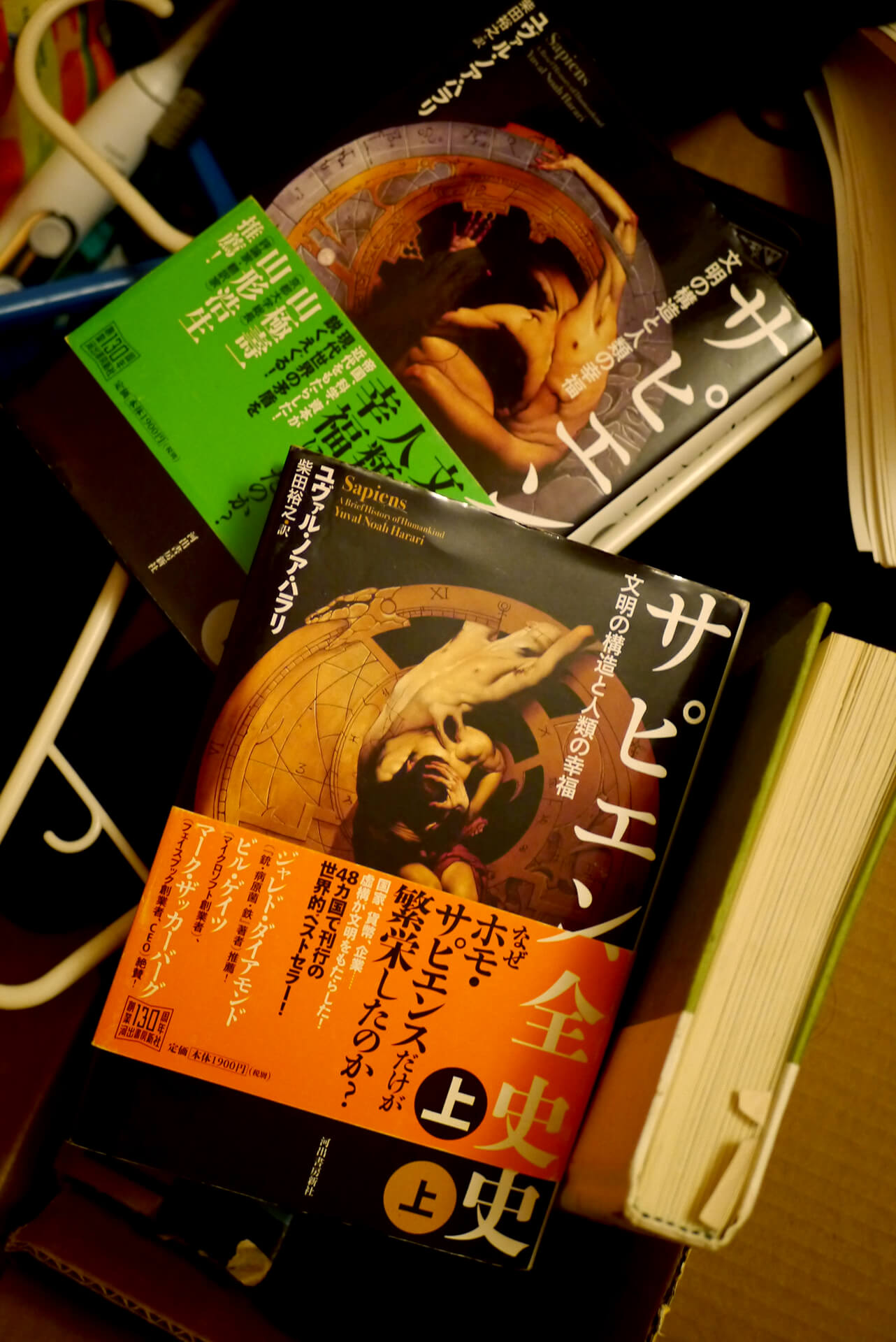 サピエンス全史(上・下)文明の構造と人類の幸福 書籍サピエンス全史(上・下)文明の構造と人類の幸福(ユヴァル・ノア・ハラリ (著), 柴田裕之 (翻訳)/河出書房新社)」の表紙画像