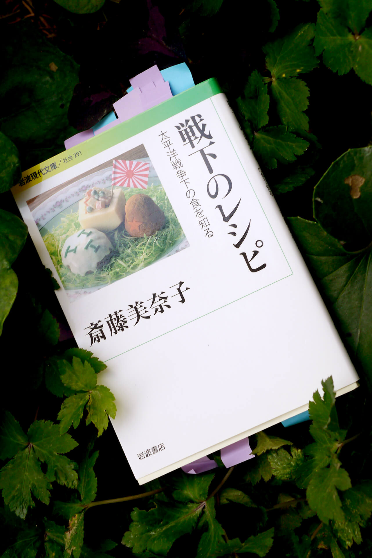 戦下のレシピ――太平洋戦争下の食を知る 書籍戦下のレシピ――太平洋戦争下の食を知る(斎藤 美奈子/岩波書店)」の表紙画像