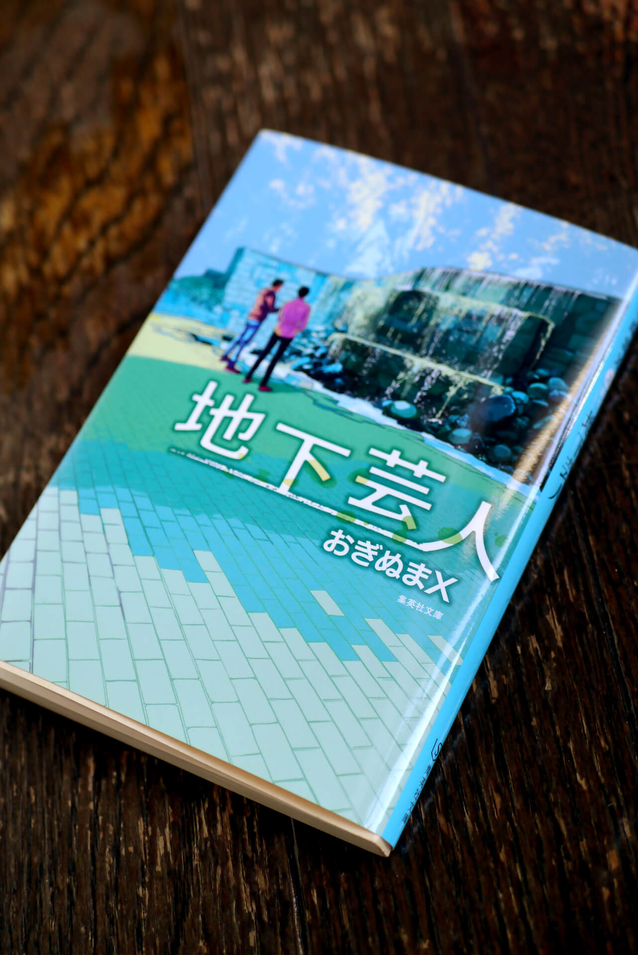 地下芸人 書籍地下芸人(おぎぬまX/集英社)」の表紙画像