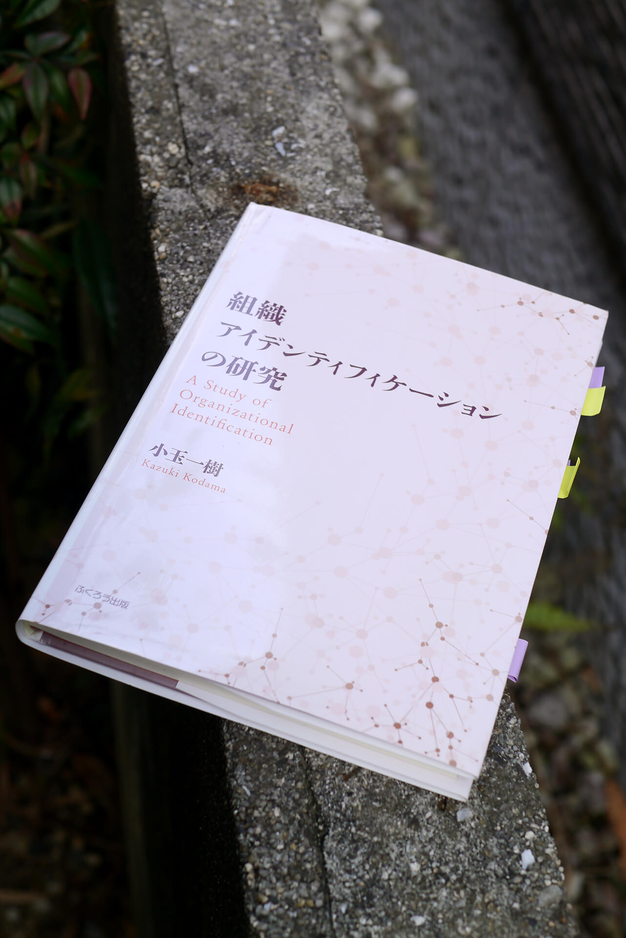 組織アイデンティフィケーションの研究 書籍組織アイデンティフィケーションの研究(小玉 一樹/ふくろう出版)」の表紙画像