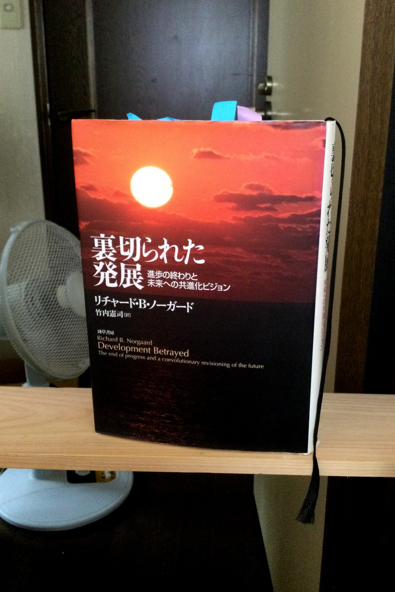 裏切られた発展―進歩の終わりと未来への共進化ビジョン 書籍裏切られた発展―進歩の終わりと未来への共進化ビジョン(リチャード・B. ノーガード (著), Richard B. Norgaard (原著), 竹内 憲司 (翻訳)/勁草書房)」の表紙画像