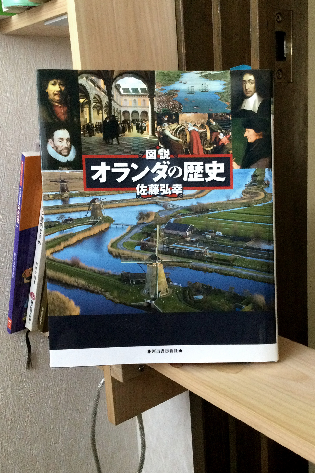 図説 オランダの歴史 改訂新版 書籍図説 オランダの歴史 改訂新版(佐藤 弘幸/河出書房新社)」の表紙画像