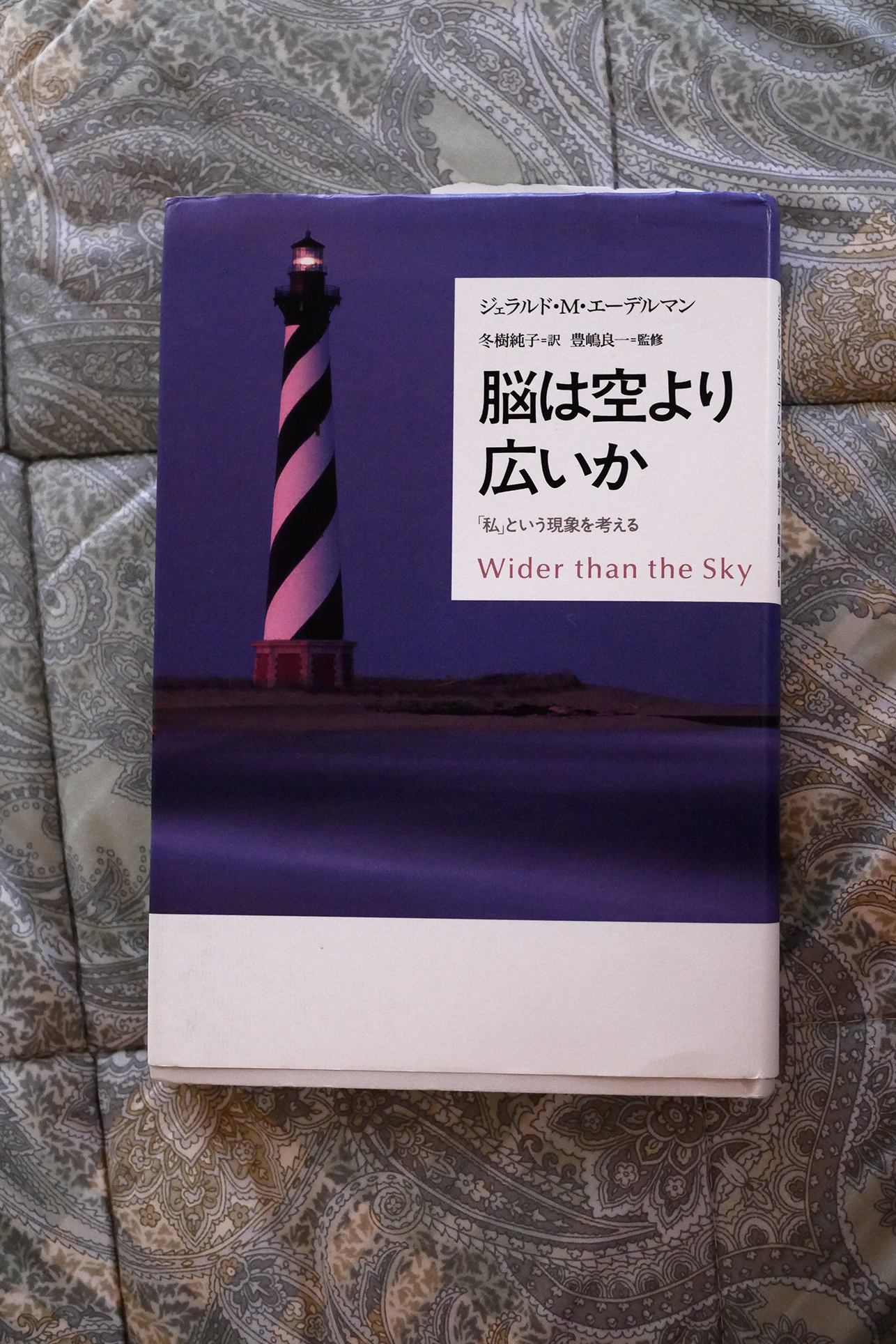 脳は空より広いか―「私」という現象を考える 書籍脳は空より広いか―「私」という現象を考える(ジェラルド M. エーデルマン (著), 冬樹 純子 (著), 豊嶋 良一 (著), 小山 毅 (著), 高畑 圭輔 (著)/草思社 )」の表紙画像